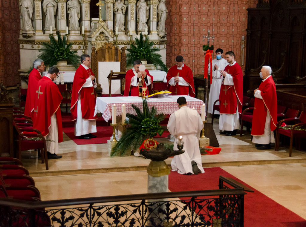 Proslavljena Cvjetnica u sarajevskoj katedrali